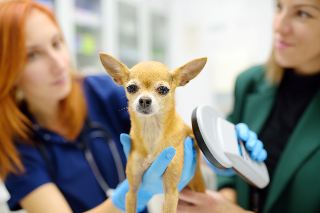 City of St. Albans Dedicates New 24/7 Pet Microchip Scanning Station